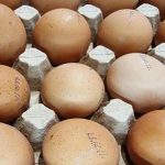 zamrazanie-surowych-jaj-jak-prawidlowo-przygotowac-produkt-do-dlugotrwalego-przechowywania.jpg